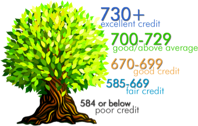 Understanding FICO